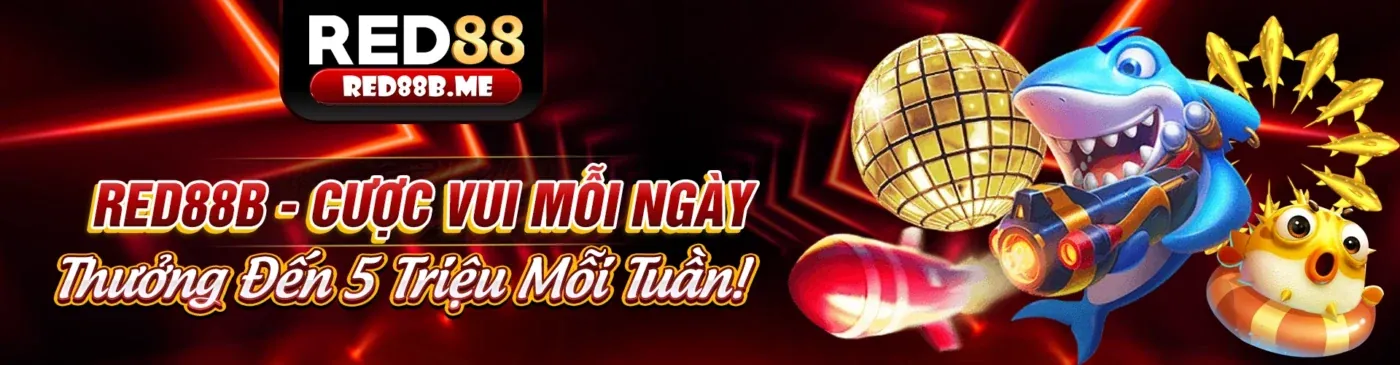 Tin tức JBO Bet mới nhất